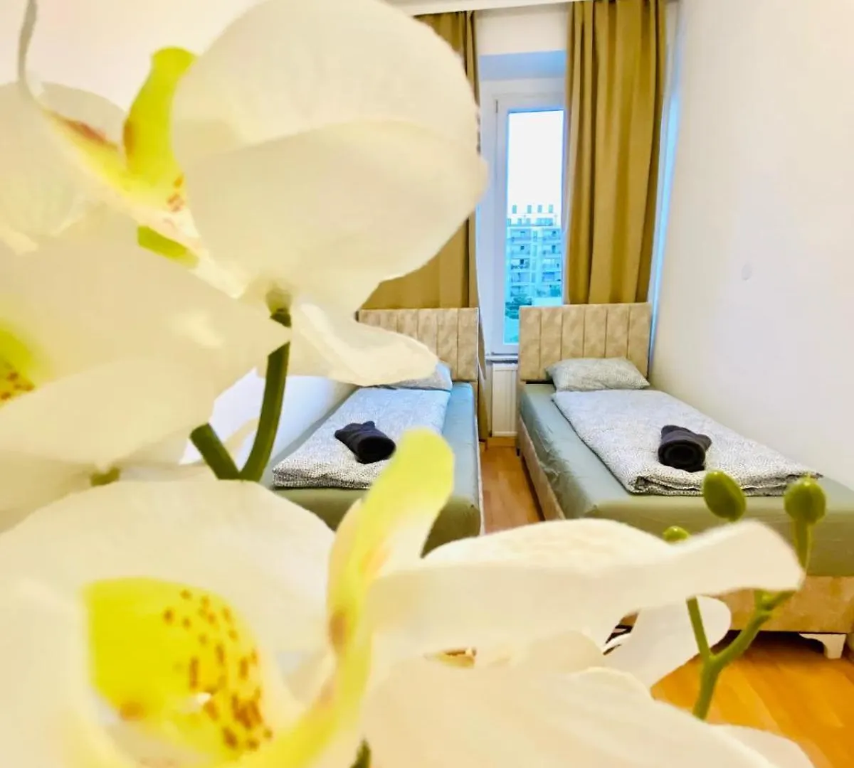 Bright 5Br Shared Apartment W Great Transport Link Wien