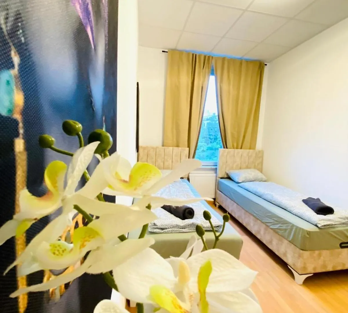 Bright 5Br Shared Apartment W Great Transport Link Wien